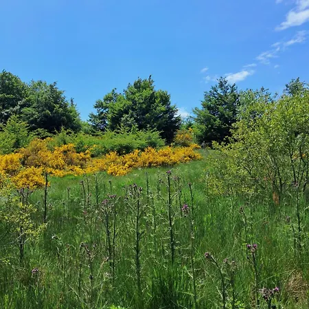 La Bastide De Caoulet فندق مبيت وإفطار