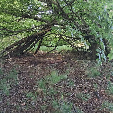فندق مبيت وإفطار La Bastide De Caoulet *