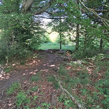 فندق مبيت وإفطار La Bastide De Caoulet *