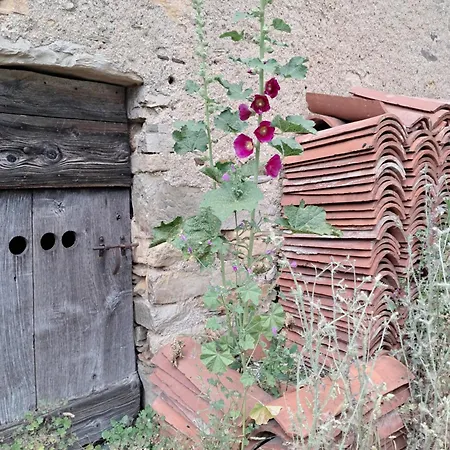 La Bastide De Caoulet Riols